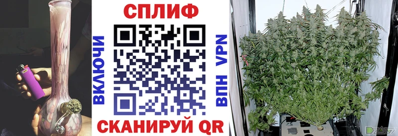 Марихуана семена Балабаново